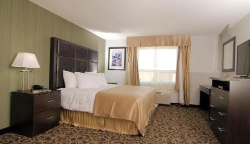 Kitchenette Suite - 1 King Bed