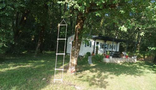 Mobile Home