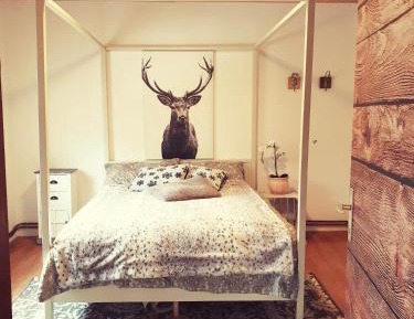 Double Room with Shared Bathroom
