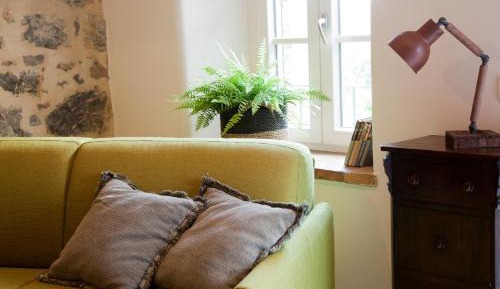 Penthouse Apartment
