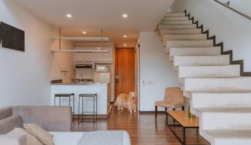 Loft