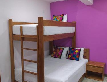 Bed in 8-Bed Mixed Dormitory Room