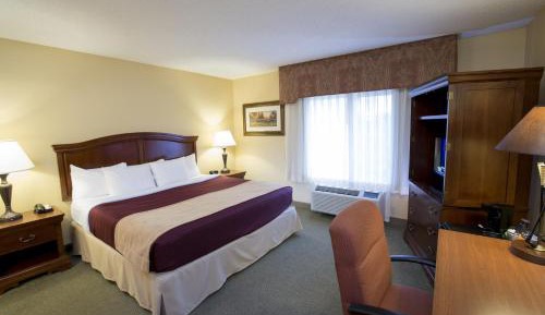 Deluxe King Room