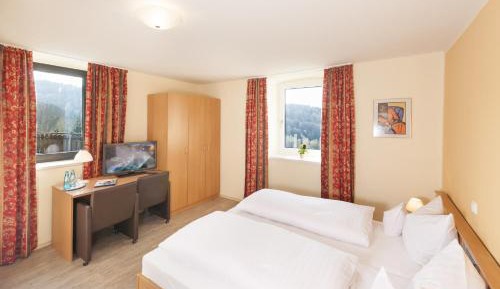 Double Room with Mountain View