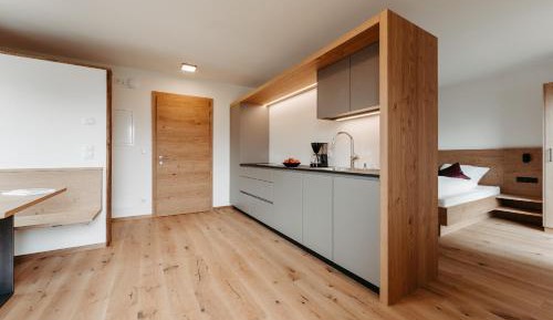 Superior One-Bedroom Apartment