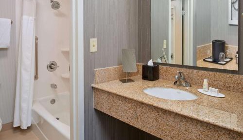 Mobility/Hearing Accessible One Bedroom Suite King Tub