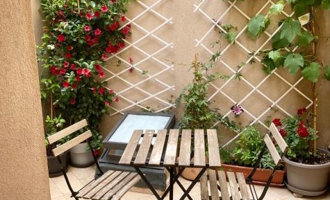 Double Room with Patio