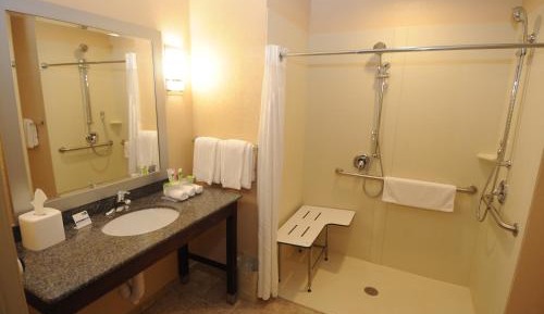 King Room - Disability Access Roll in Shower