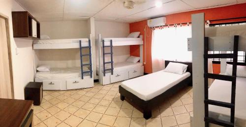 Bed in 6-Bed Mixed Dormitory Room