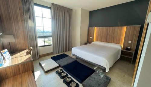 Standard Queen Room