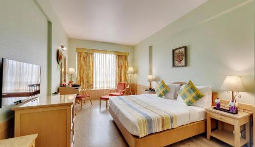 Winter Green Room, 1 King Bed
