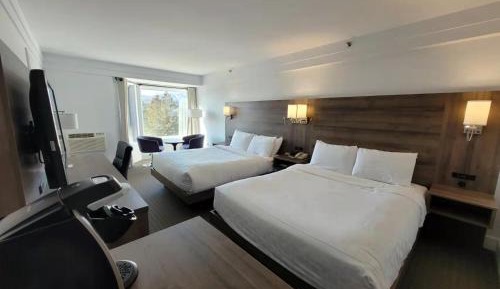 Standard Queen Room