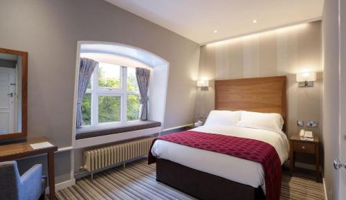 Cozy Double Room