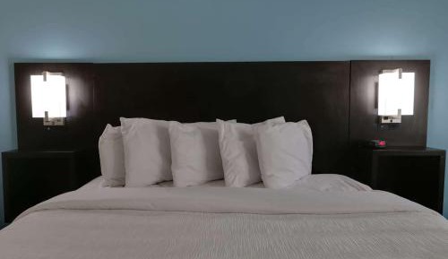 King Room with Roll-in Shower - Mobility Access/Non-Smoking