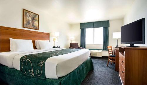 King Room - Non-Smoking