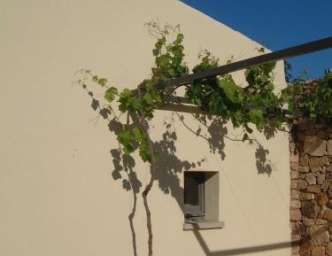 Quadruple Room with Garden View