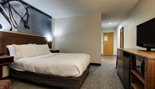 Double Room - Non-Smoking 