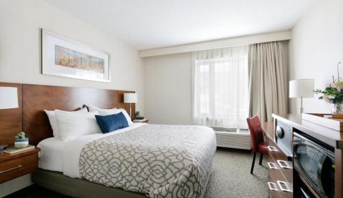Standard Queen Room