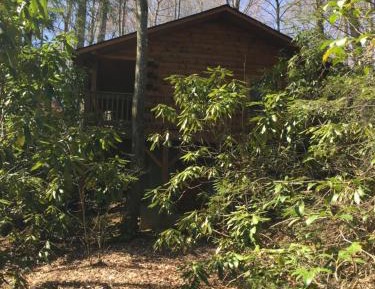 Cabin 1