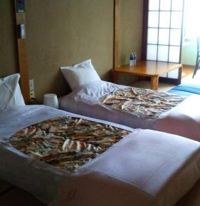 Japanese-Style Twin Room with Shared Bathroom
