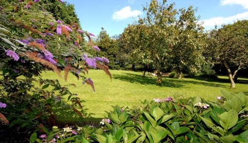 Premier Twin Room with Garden View