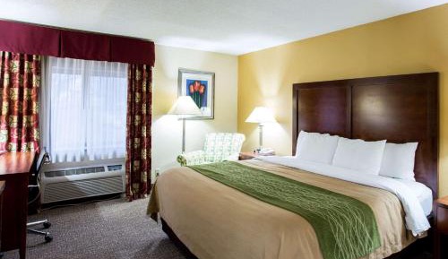 King Room - Non-Smoking
