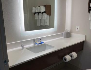 Standard King Room with Roll-In Shower - Communications Access