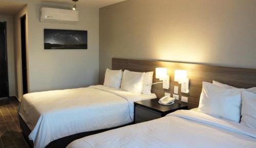 One-Bedroom Apartment (4 Adults)