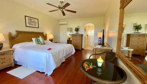 Deluxe Double or Twin Room with Sea View