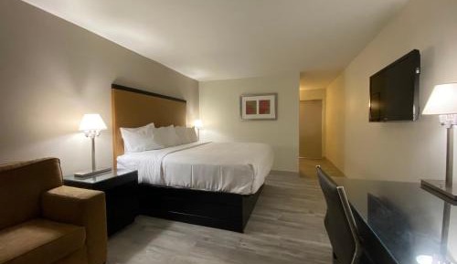 Standard King Room