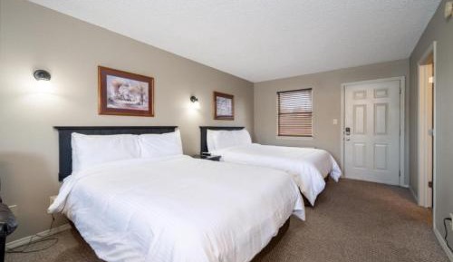 Studio Apartment with Lake View - Ground floor