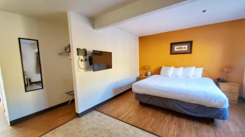 Pet Friendly King Studio with Kitchenette