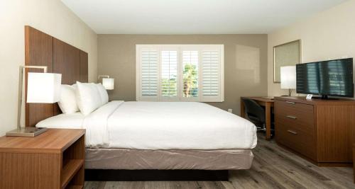 King Suite with Sofa Bed