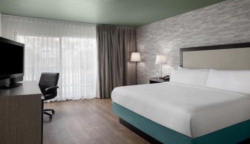 King Room with Pool View