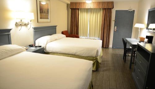 Queen Room with Two Queen Beds