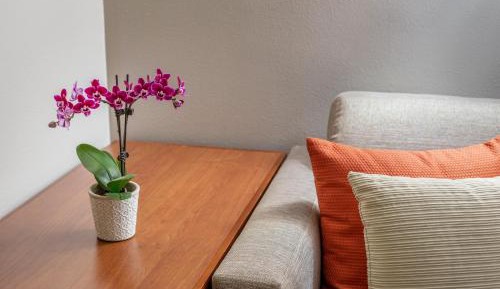 King Room with Sofa Bed - High Floor
