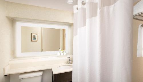 Deluxe King Room with Roll-In Shower - Disability Access