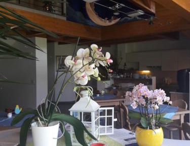 Double Room with Terrace