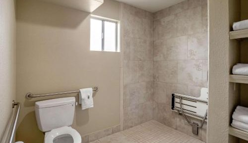 Standard Room, 1 King Bed, Accessible Roll-In Shower, Non Smoking