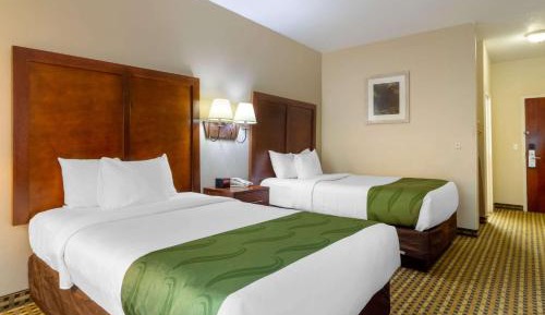 Double Room with Two Double Beds - Non-Smoking