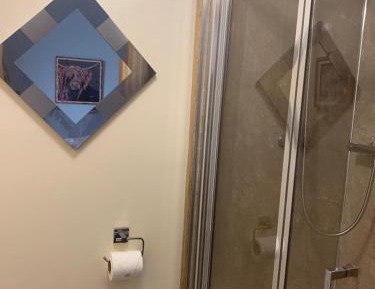 Deluxe Double or Twin Room with Lake View