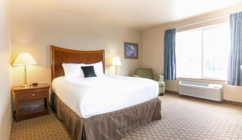 Queen Room - Disability Access - Pet Friendly