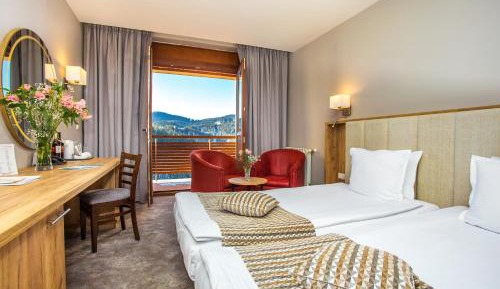 Double or Twin Room with Mountain View