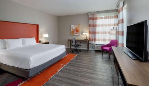 King Room with Roll-in Shower - Mobility Access/Non-Smoking
