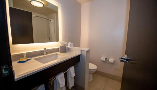 King Room with Hearing Accessible Roll In Shower - Non-Smoking