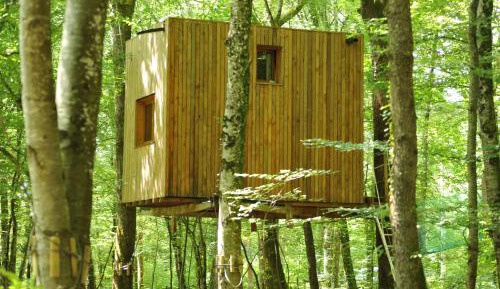 Superior Tree House