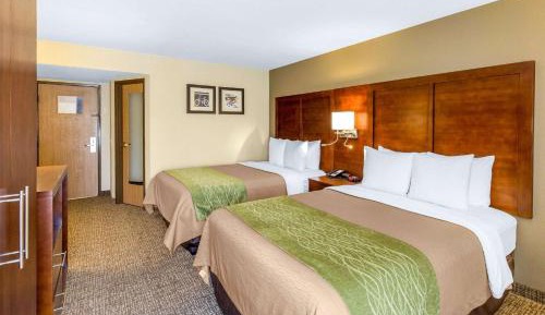 Queen Room with Two Queen Beds - Non-Smoking