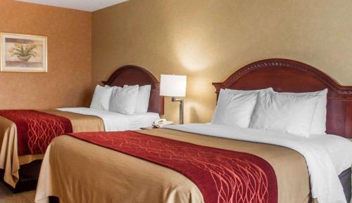 Queen Room with Two Queen Beds - Non-Smoking