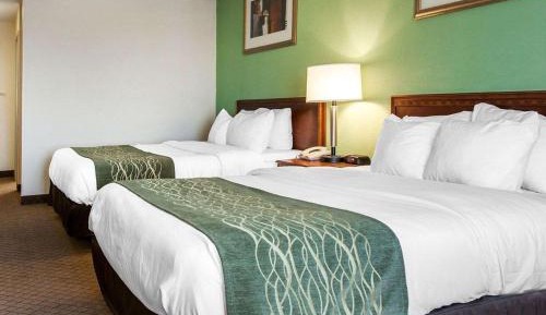 Queen Room with Two Queen Beds