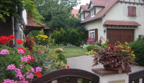Apartment with Garden View
